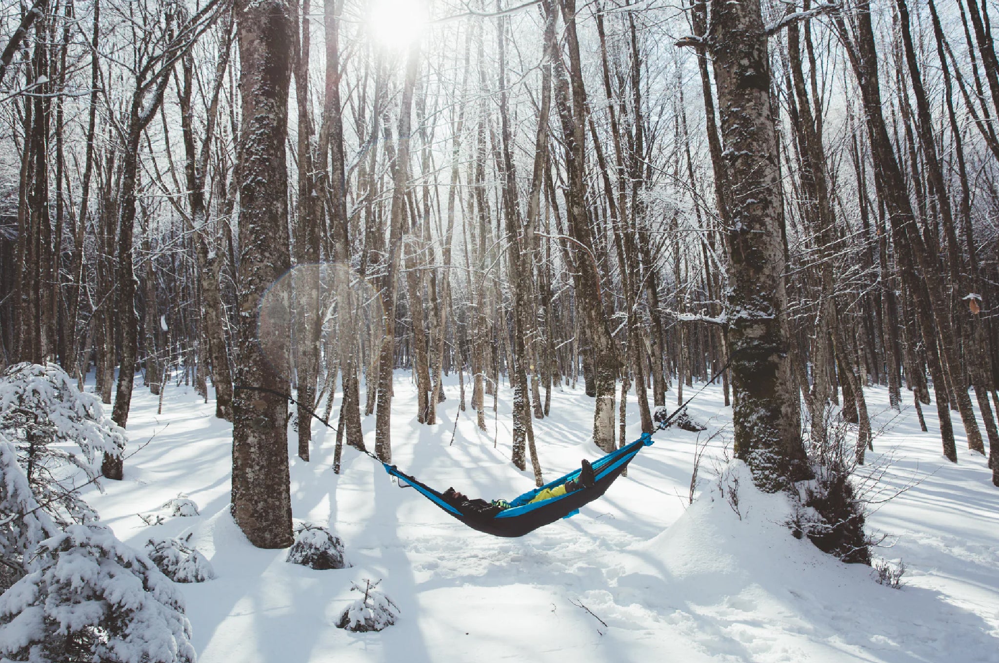 KOALA | 1 PERSON HAMMOCK